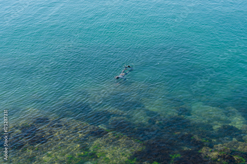 Blue sea, calm. Rocky coast, the bottom of the sea and the underwater hunter in a wet suit with a harpoon. View from above.