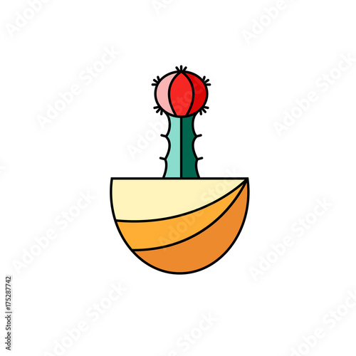 Chin cactus flat line illustration in red and green colors. Vector stylized illustration of potted dwarf cacti on white isolated background.