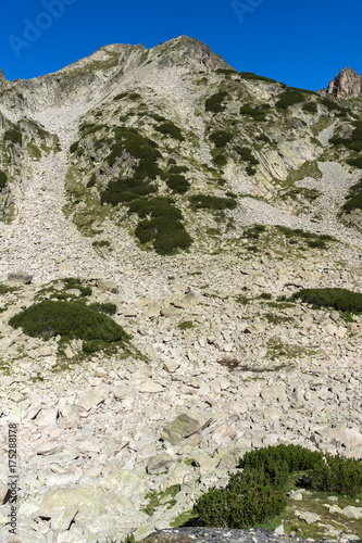 Landscape with Left Kralev Dvor pass, Pirin Mountain, Bulgaria photo