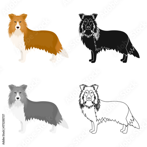 Laika single icon in cartoon style.Laika, vector symbol stock illustration web.