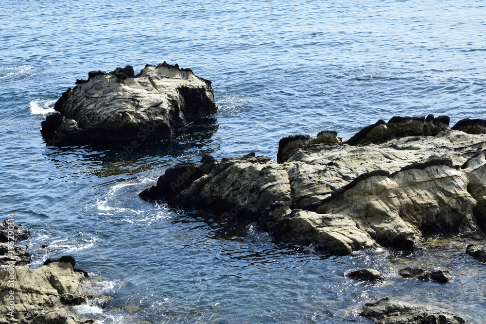 三浦半島 横須賀市荒崎 相模湾岩礁 三浦半島 横須賀市荒崎 相模湾岩礁