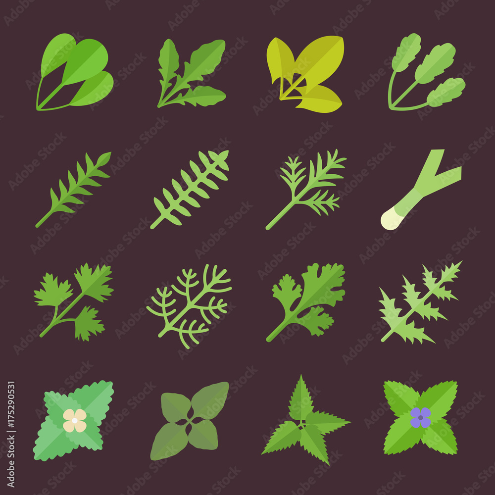 Set Vector Flat Icons of Greenery Set Vector Flat Icons of Greenery
