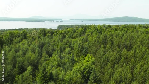 Aerial, Lily Bay State park forest