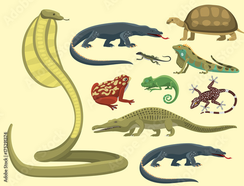 Reptile and amphibian colorful fauna vector illustration reptiloid predator reptiles animals.