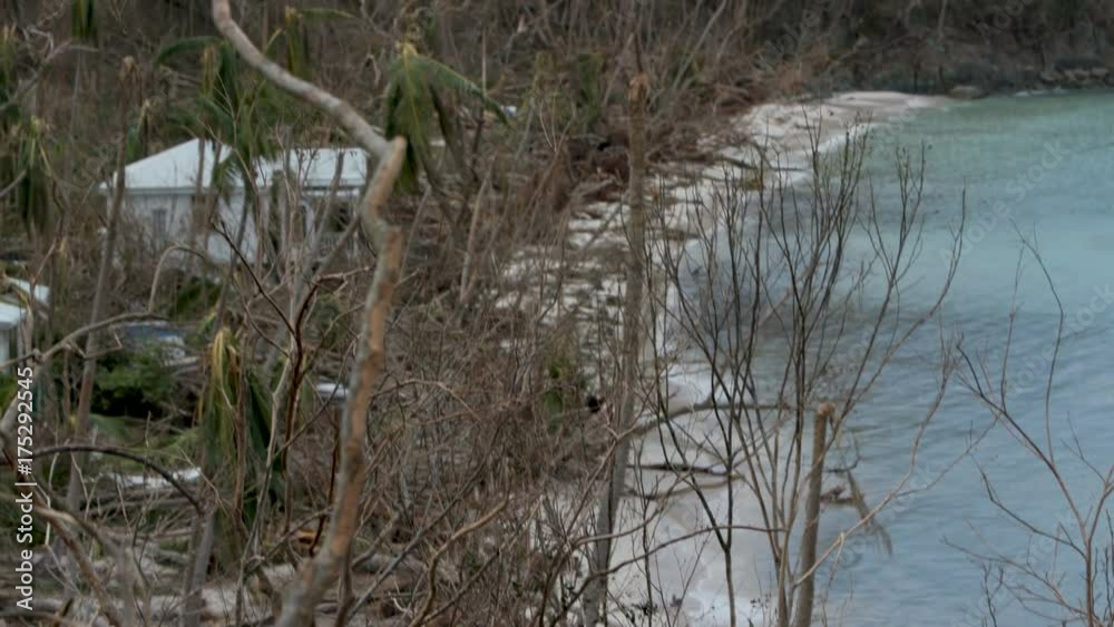 Post Hurricane Irma 2017 devastation, Gibney Beach, St John, United States Virgin Islands Post Hurricane Irma 2017 devastation, Gibney Beach, St John, United States Virgin Islands