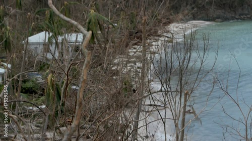 Post Hurricane Irma 2017 devastation, Gibney Beach, St John, United States Virgin Islands photo