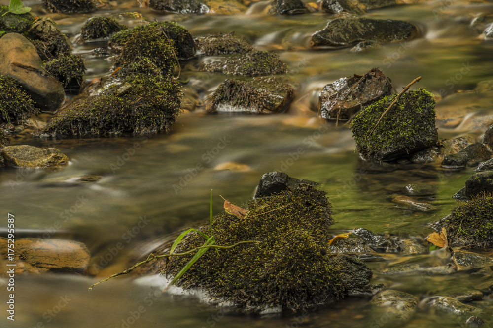 Fototapeta premium Usovicky creek near Marianske Lazne town