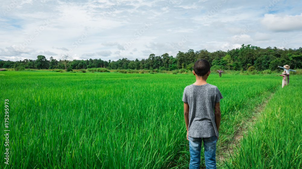 young asain boy feeling Alone and scared young asain boy feeling Alone and scared
