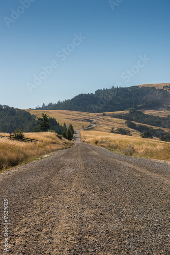 Dried Grasses Flank Gravel Road