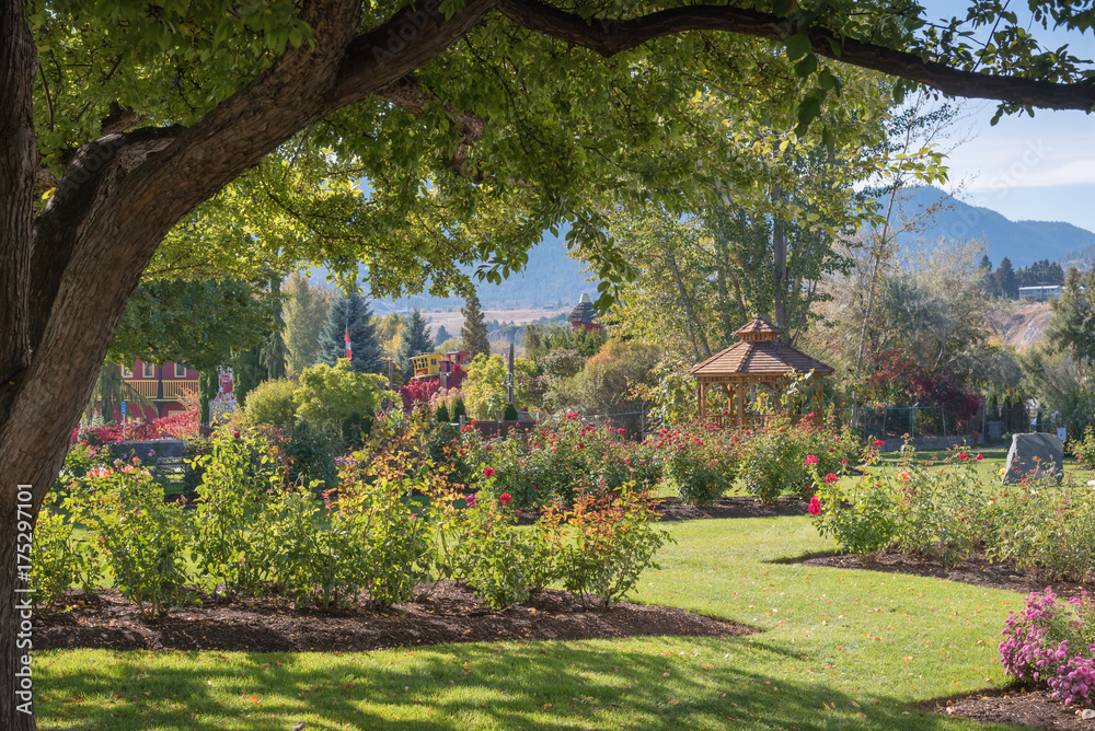 Obraz premium Beautiful rose garden and public city park with gazebo