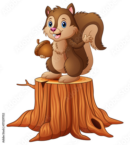 Cartoon squirrel standing on tree stump holding an acorn