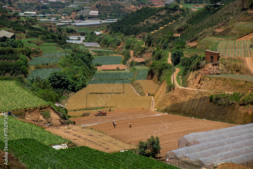 Vegetable fields and Housein highland, Dalat, Vietnam. Da lat is one of the best tourism city in Vietnam. Dalat city is Vietnam's largest vegetable and flowers growing areas. photo