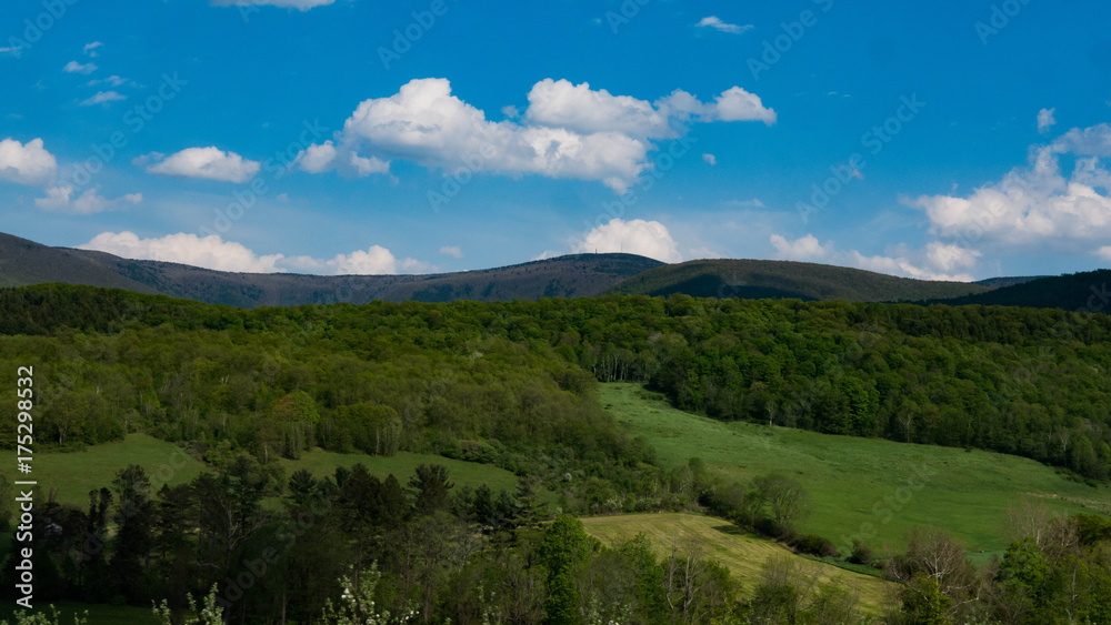 Naklejka premium Mount Greylock
