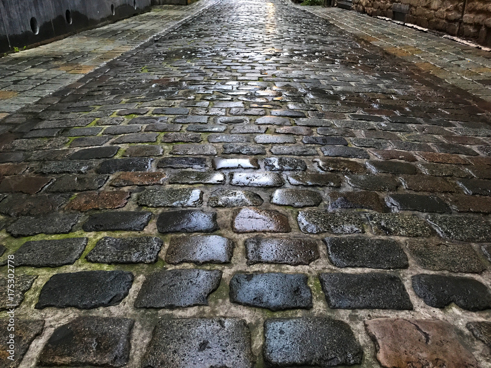 Small beautiful alley with wet cobblestones.