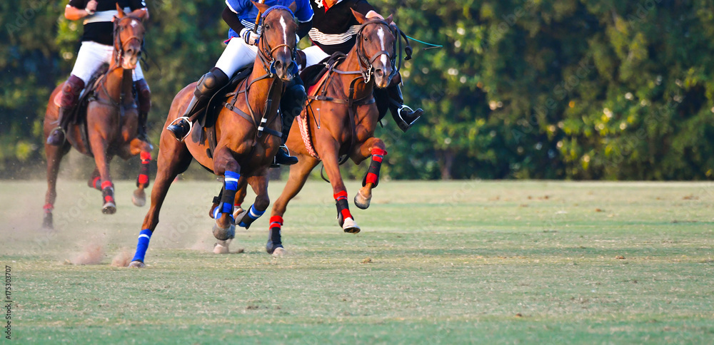 The horse polo player are ridding
