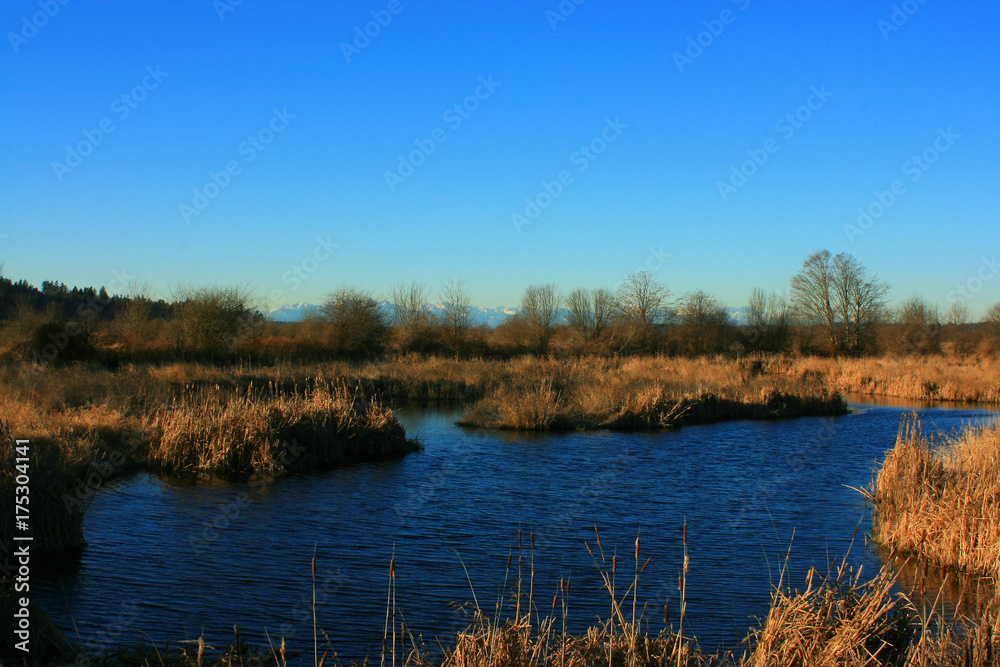 a picture of an Pacific Northwest fresh water pond a picture of an Pacific Northwest fresh water pond