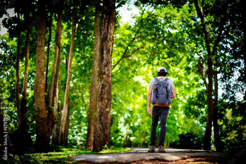 Man traveler traveling walking with backpack at the jungle on holiday at weekend on background nature view Man traveler traveling walking with backpack at the jungle on holiday at weekend on background nature view