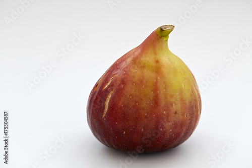 one fresh fig on white Background