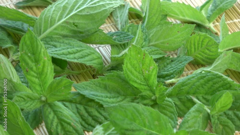 Rotating fresh medical mint herbs background on bamboo mat Rotating fresh medical mint herbs background on bamboo mat