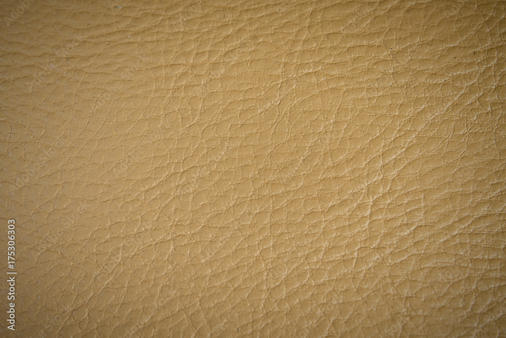 Texture of skin of animal yellow color with blackout at the edges Texture of skin of animal yellow color with blackout at the edges