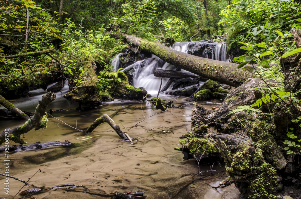 Fototapeta premium wodospad, rzeka 