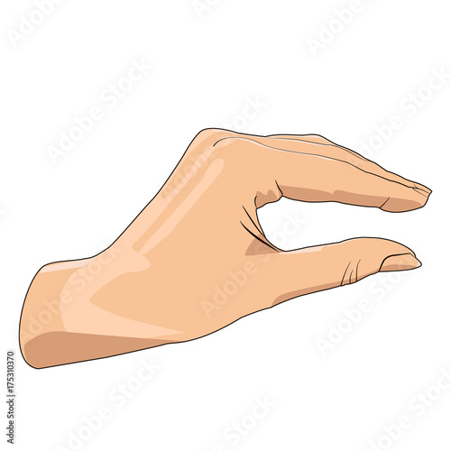 Hand showing small size. Realistic hand gesture.