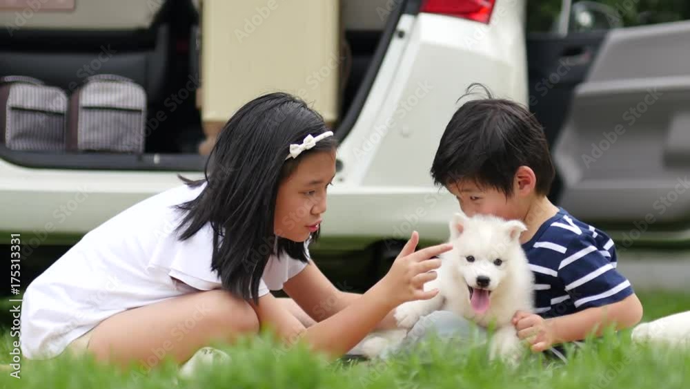 Asian children playing with siberian husky puppy in the park 4k 5 Asian children playing with siberian husky puppy in the park 4k 5