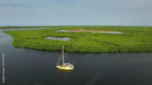 Sail in the mangrove - Senegal photo