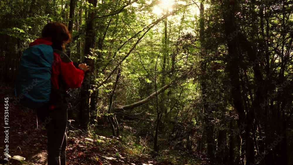 Woman checking map on phone in the middle of the forest Woman checking map on phone in the middle of the forest