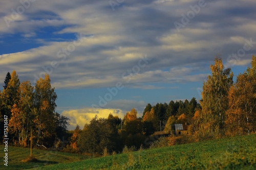 Autumn forest with multicolored foliage