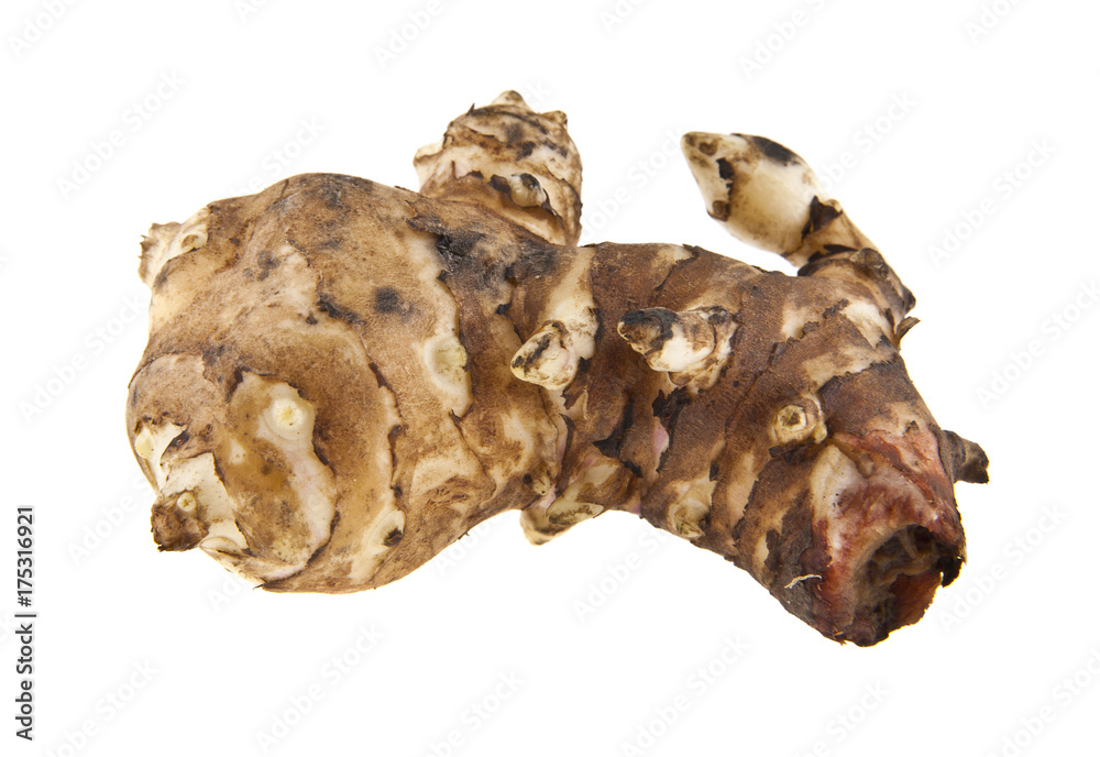 Jerusalem artichoke isolated on white background closeup Jerusalem artichoke isolated on white background closeup