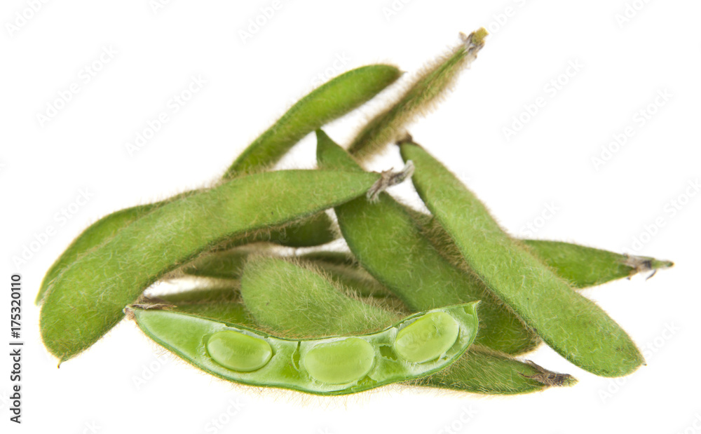 soybean isolated on white background close-up soybean isolated on white background close-up