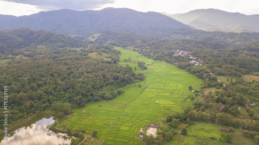 Top view of village houses and  rice fields in Nan, Thailand.