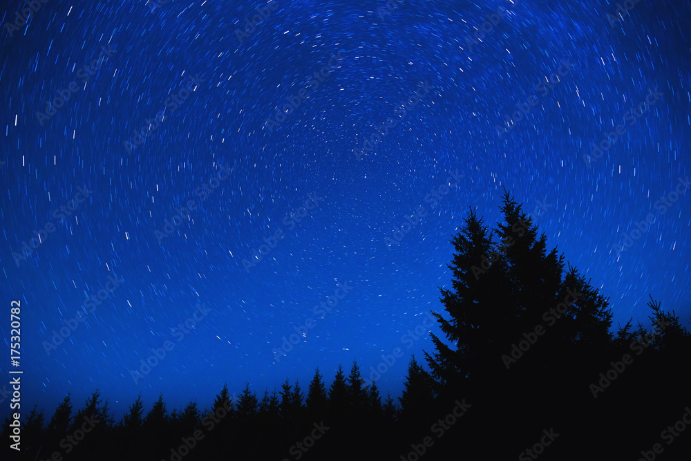 Naklejka premium Star trails around the Polaris star and forest silhouettes. 