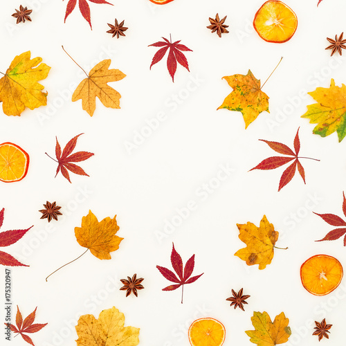Round frame composition of autumn maple leaves, dried orange and stars on white background. Flat lay, top view.