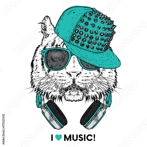 Fototapeta Naklejka Na Ścianę i Meble -  Tiger in glasses, a cap and headphones. Vector illustration. The animal is a hipster. Music, fashion and style. Print on clothes, postcard and printed products.
