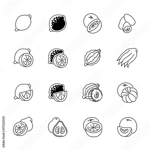 Citrus fruits icons - Lemon, orange and pomelo