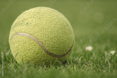 Tennis ball on the grass © Lukasz