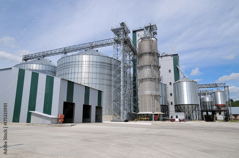 Obraz premium Agricultural Silos. Metal grain facility with silos.