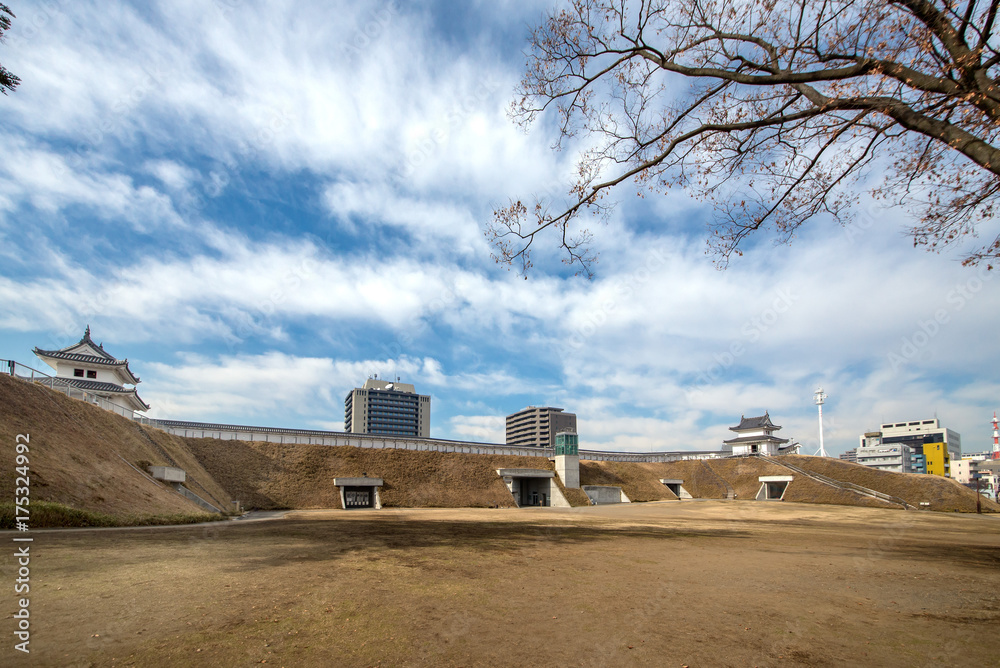 Obraz premium 宇都宮城址公園