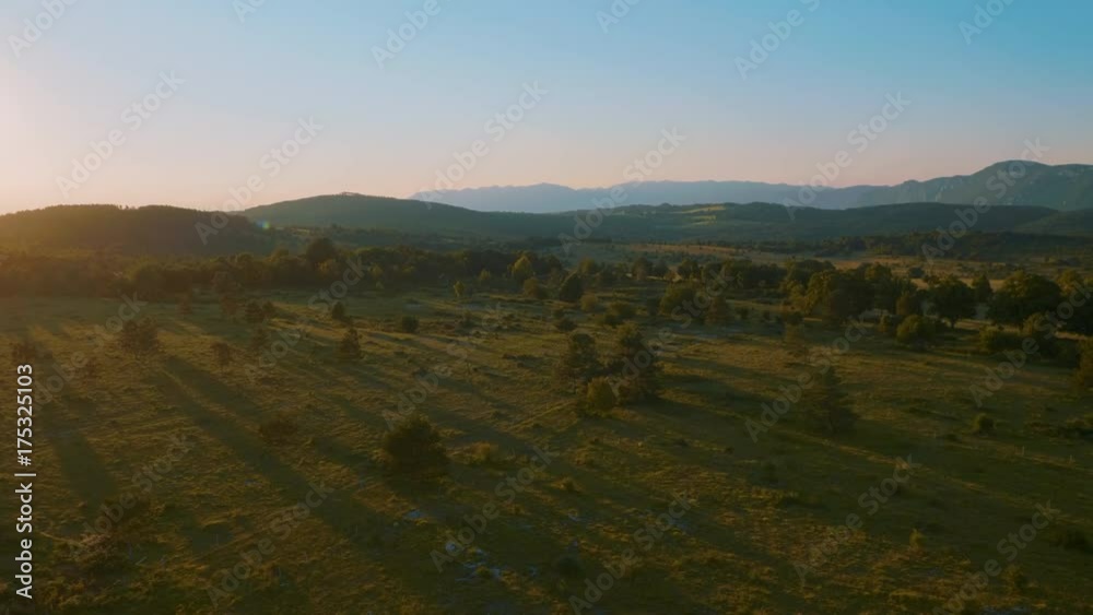 Total aerial view of a beautiful countryside at sunrise in the summer.
Total aerial view of a beautiful countryside at sunrise in the summer.