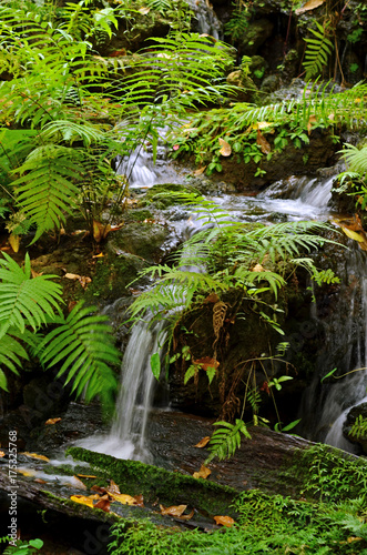 waterfalls 