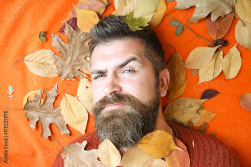 Man with long beard in natural yellow fall leaves.