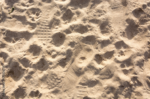 Sand texture as a background from above