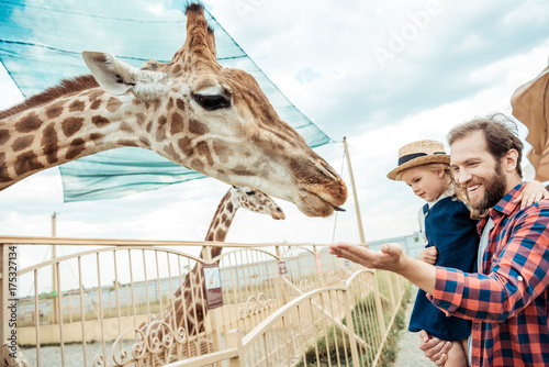 family looking at giraffe in zoo