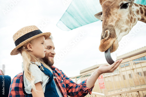 Photography family feeding giraffe in zoo