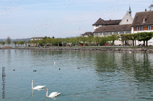 Pueblo frente al lago con cisnes y patos