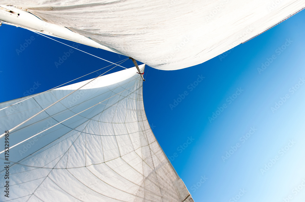Fototapeta premium White yacht sails in sunlight on blue cloudy sky background.