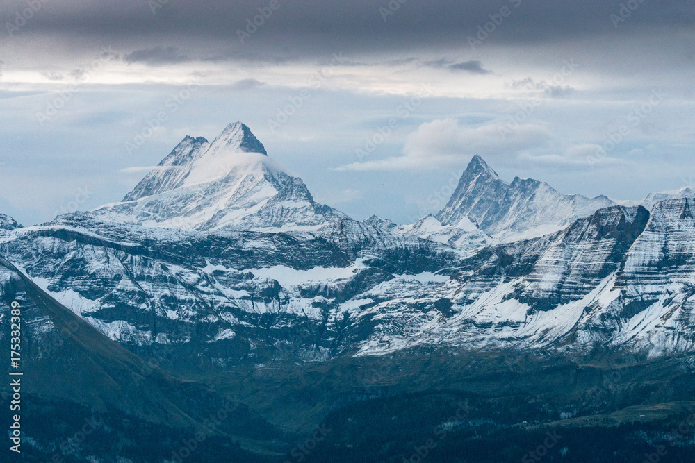 Schreckhorn und Finsteraarhorn in den Berner Alpen