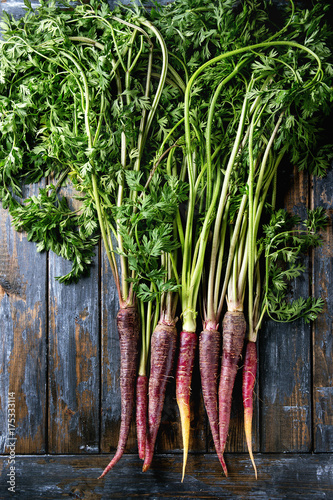 Bundle of raw organic purple carrot with green top haulm over old wooden plank background. Top view with space. Food background.